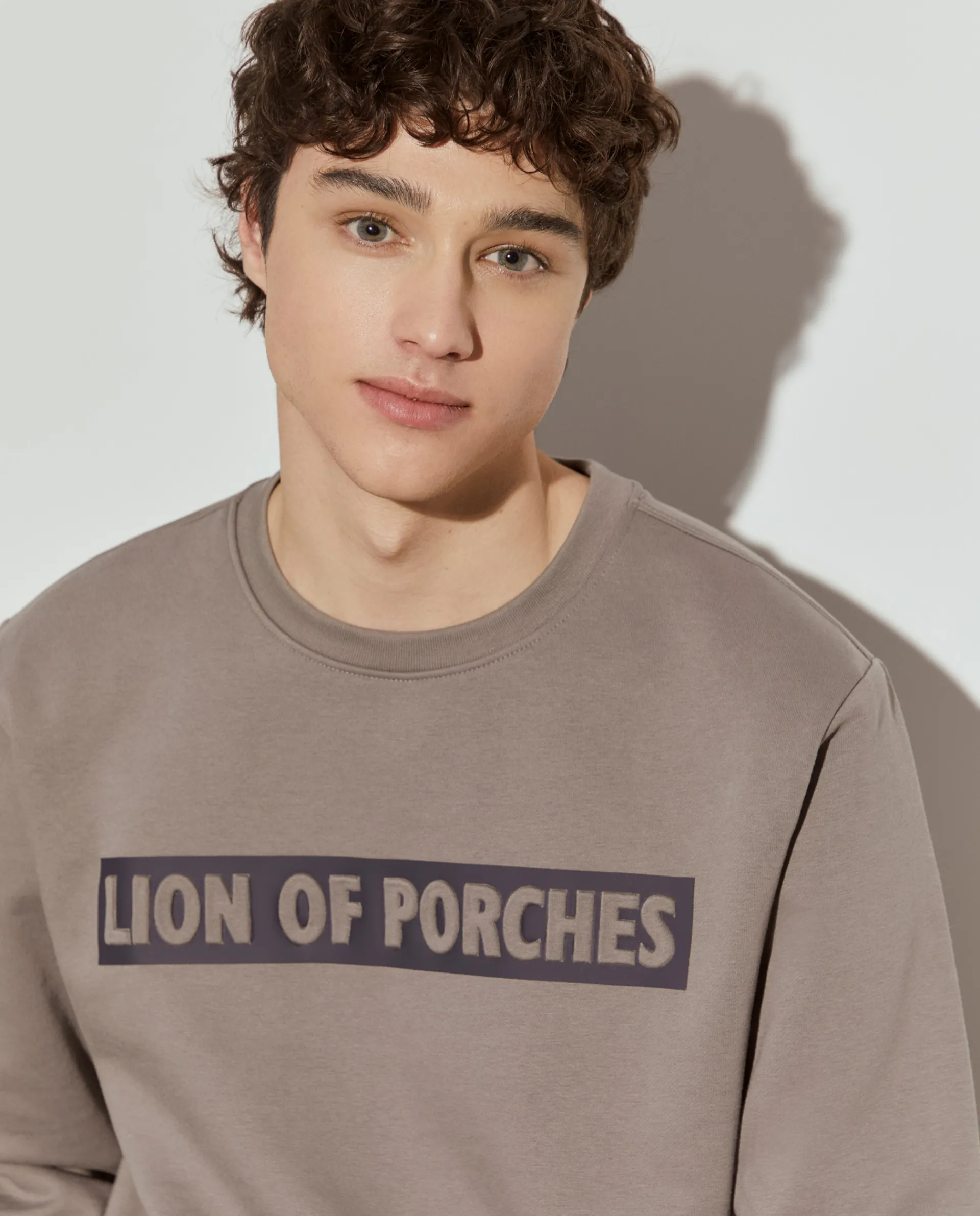 Best LION OF PORCHES Sweater com estampado e interior polar 955 Cinza Mescla Médio